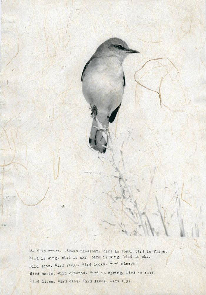 Wall Art Painting id:197482, Name: Bird is sweet, Artist: TypeLike