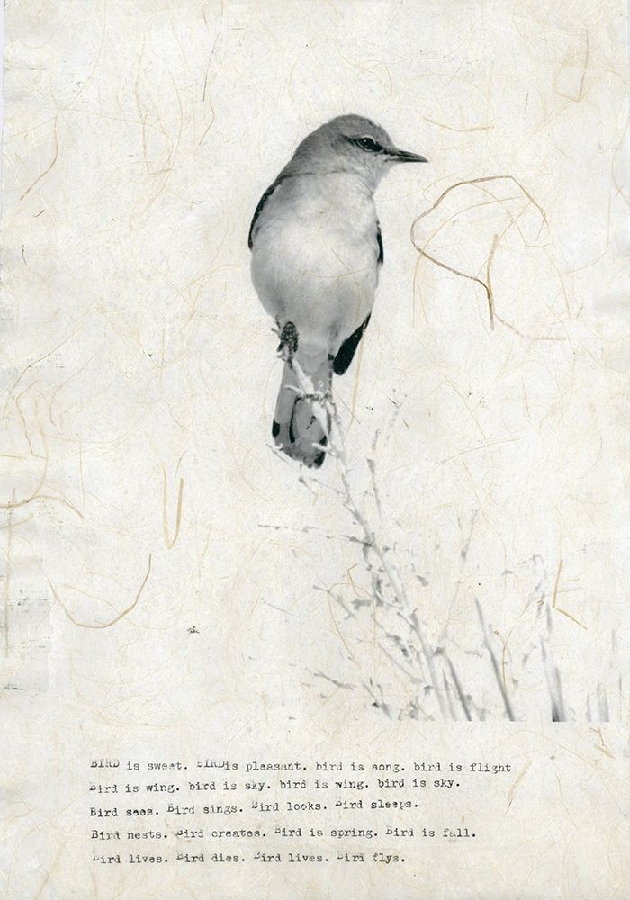 Wall Art Painting id:197482, Name: Bird is sweet, Artist: TypeLike
