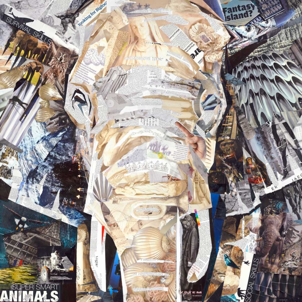 Art Print: Elephants Gaze