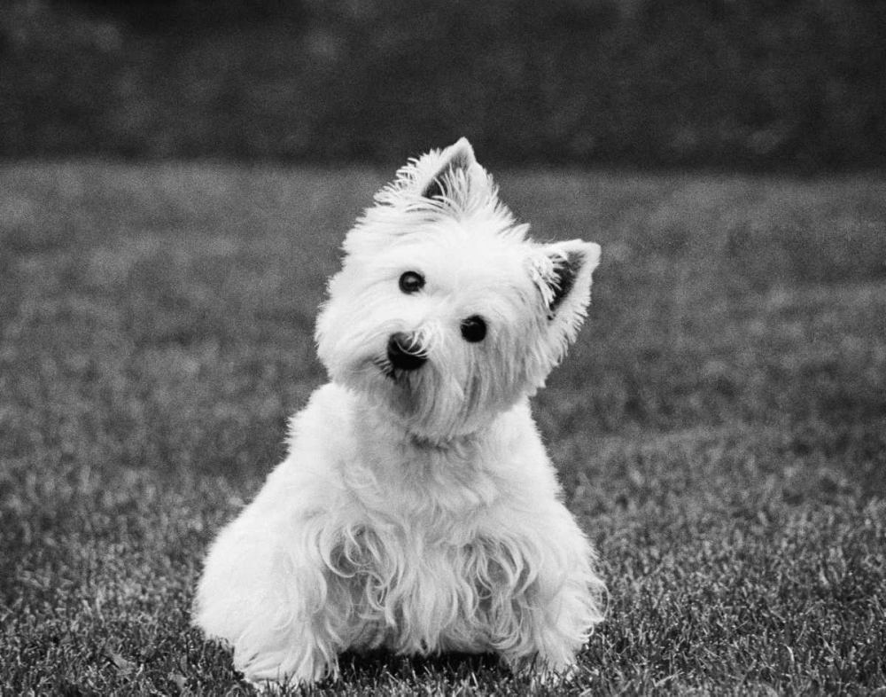 Similar wall art painting: 13622