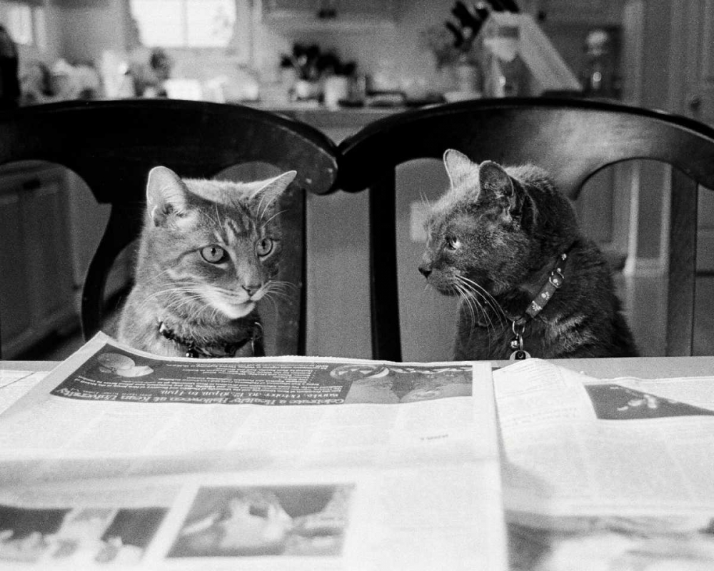 Wall Art Painting id:13618, Name: Not While Im Reading, Artist: Levin, Kim