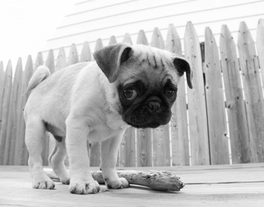 Similar wall art painting: 33034