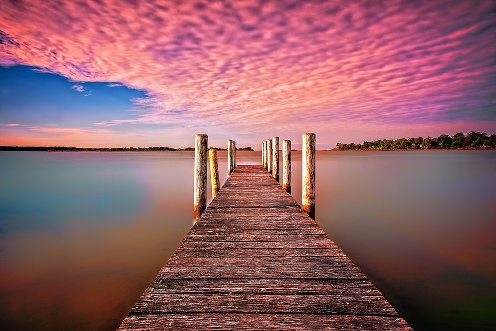 Art Print: Pink Pier