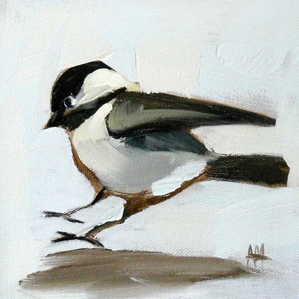 Art Print: Coming In for a Landing