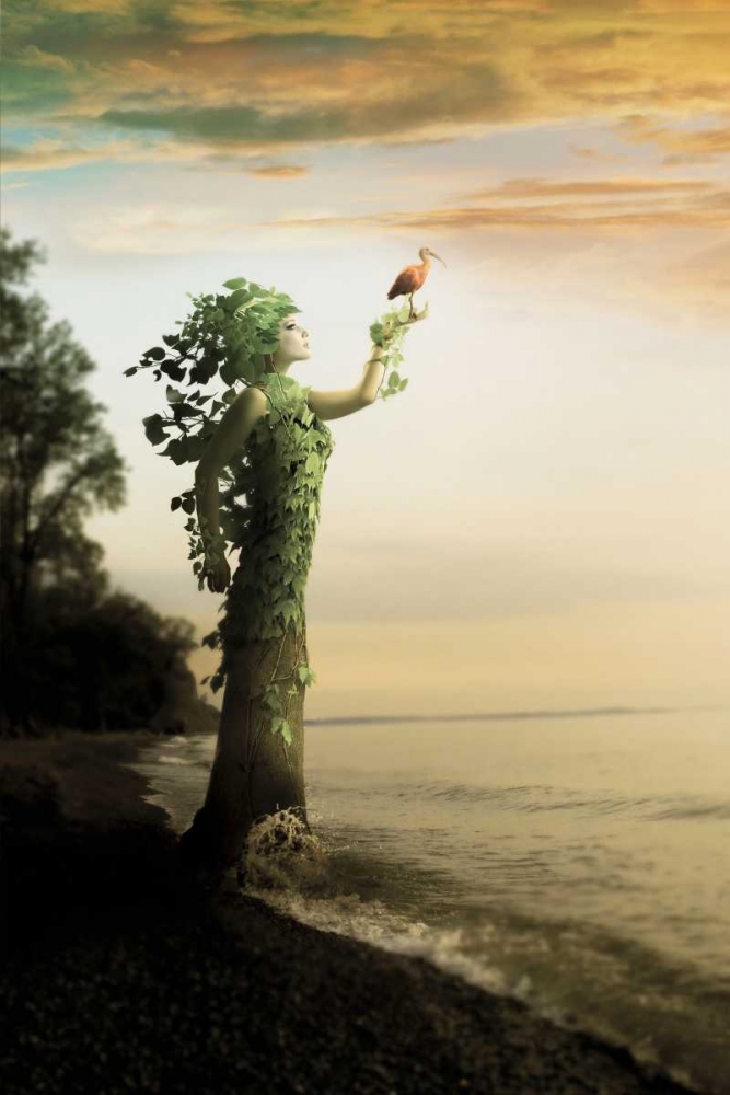 Wall art: Where the Trees Stand, by Madison, Jeff