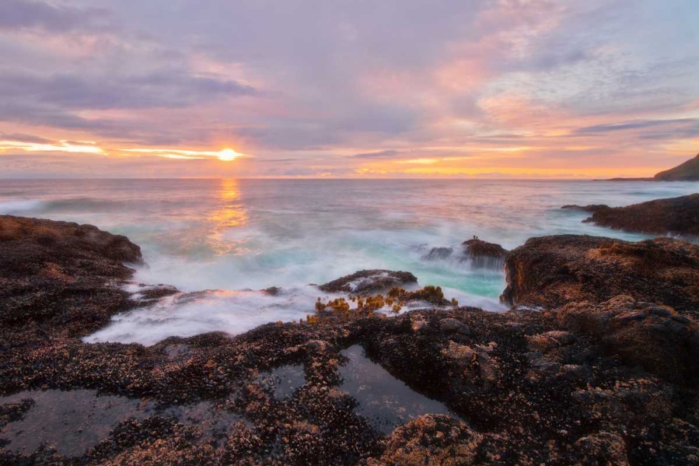 Art Print: Natures Palette