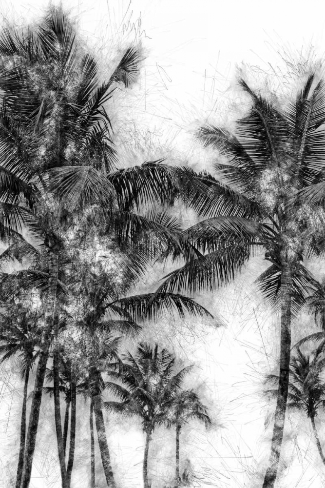 Art Print: Dorado Palms 1
