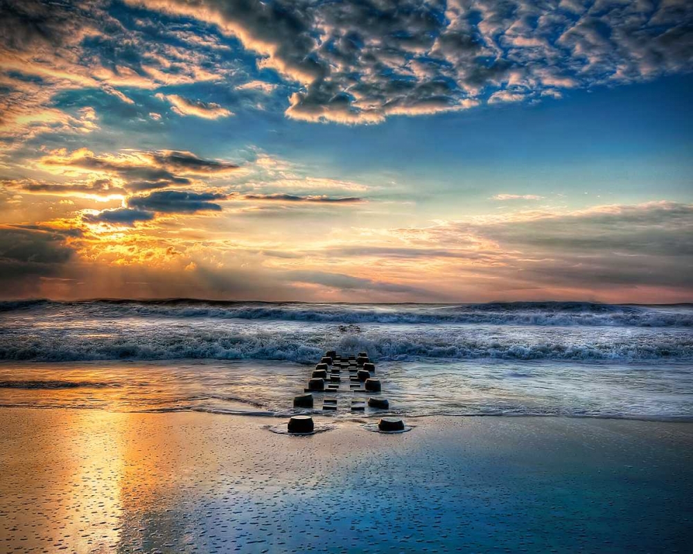 Art Print: Into the Sea