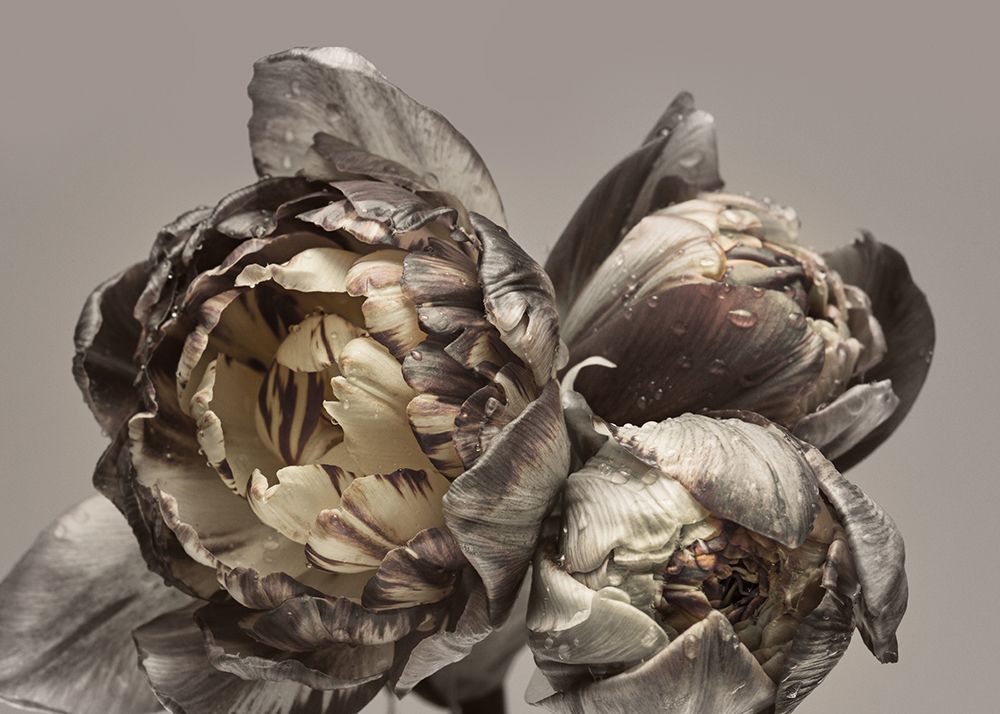 Wall Art Painting id:260640, Name: Baroque 4, Artist: Design Fabrikken