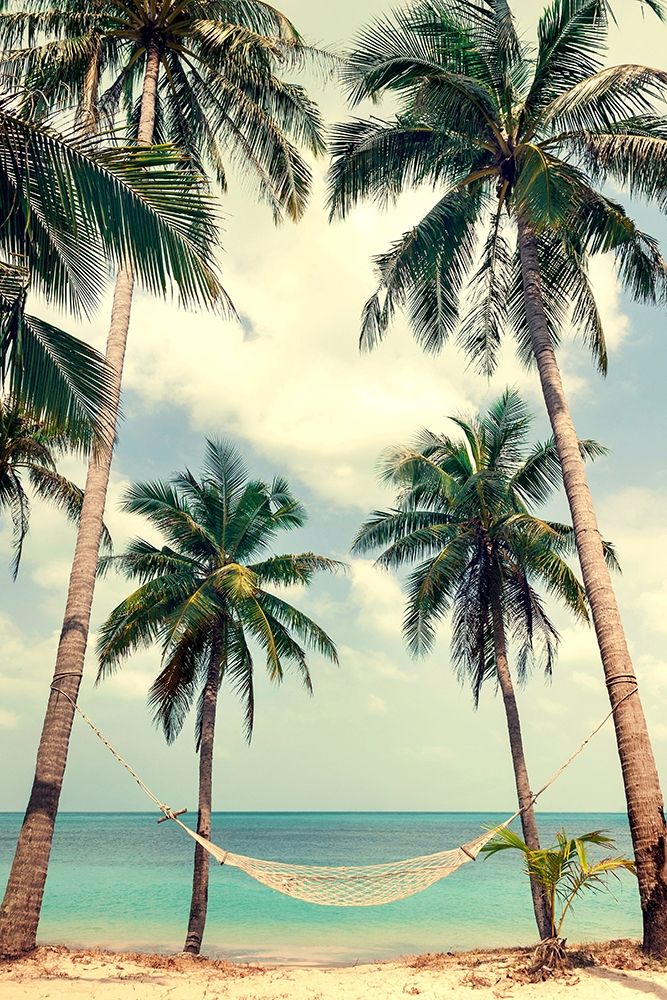 Art Print: Palm Sky 3