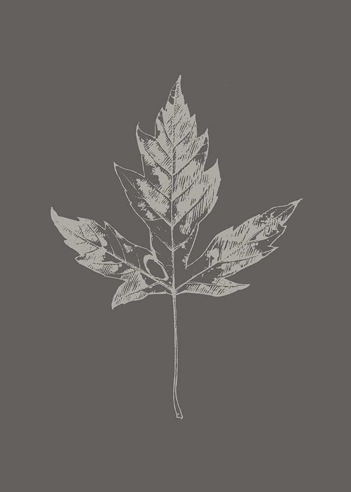 Wall Art Painting id:260687, Name: Botanica 5, Artist: Design Fabrikken