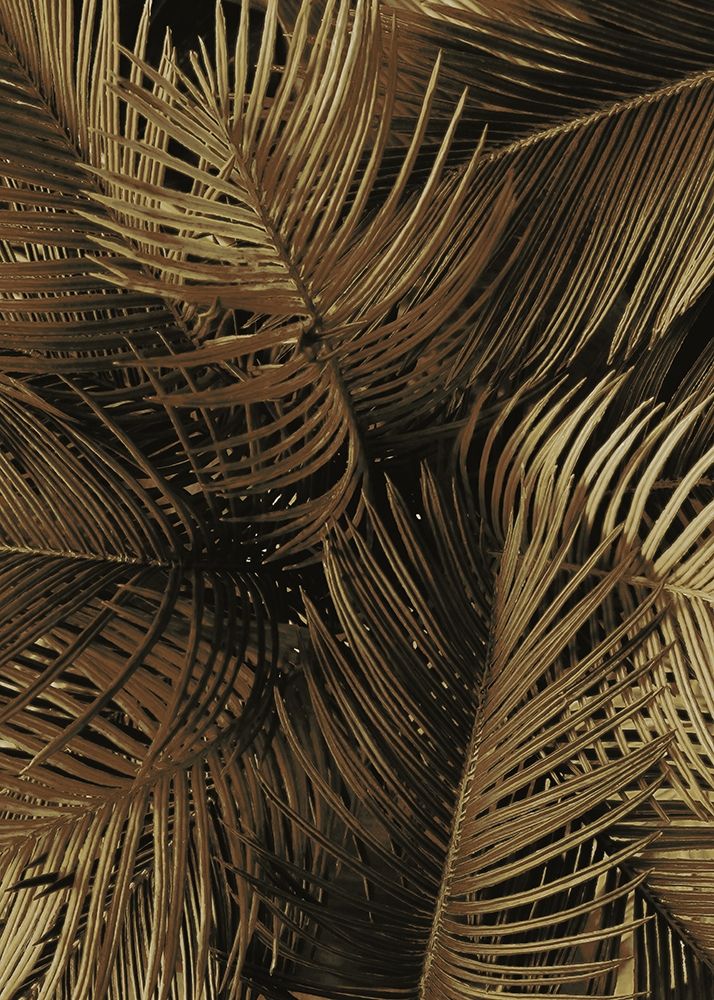 Wall Art Painting id:260750, Name: Golden Palm 2, Artist: Design Fabrikken