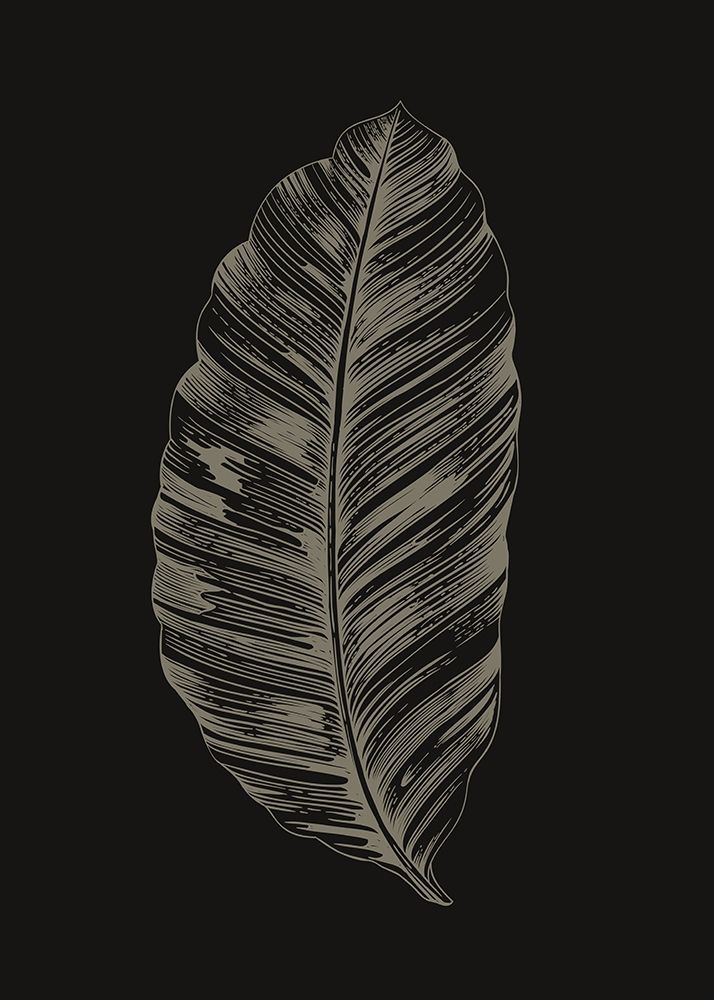 Wall Art Painting id:260674, Name: Black Leaf, Artist: Design Fabrikken