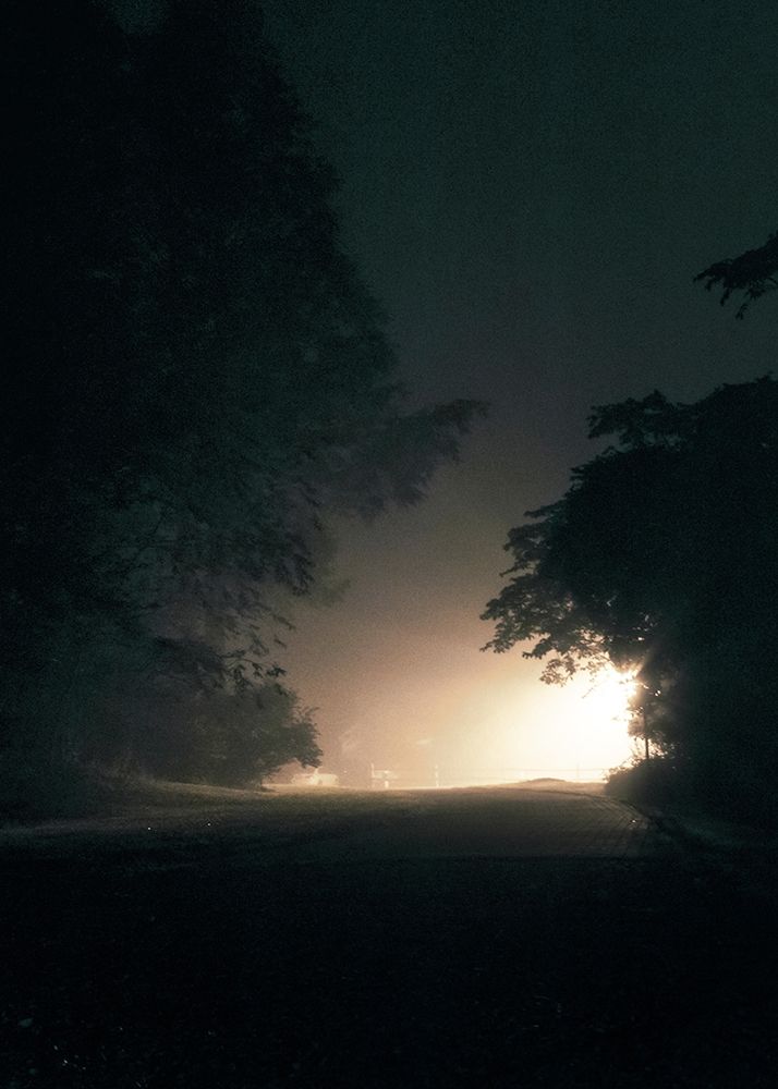 Wall Art Painting id:260625, Name: A Light in the Dark, Artist: Design Fabrikken