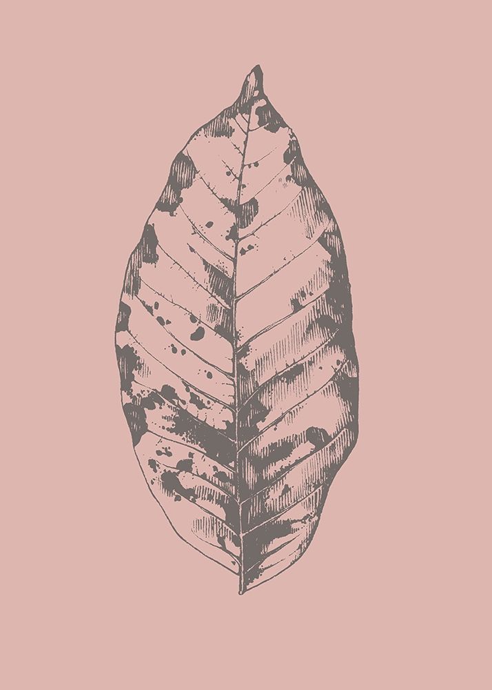 Wall Art Painting id:260683, Name: Botanica 1, Artist: Design Fabrikken