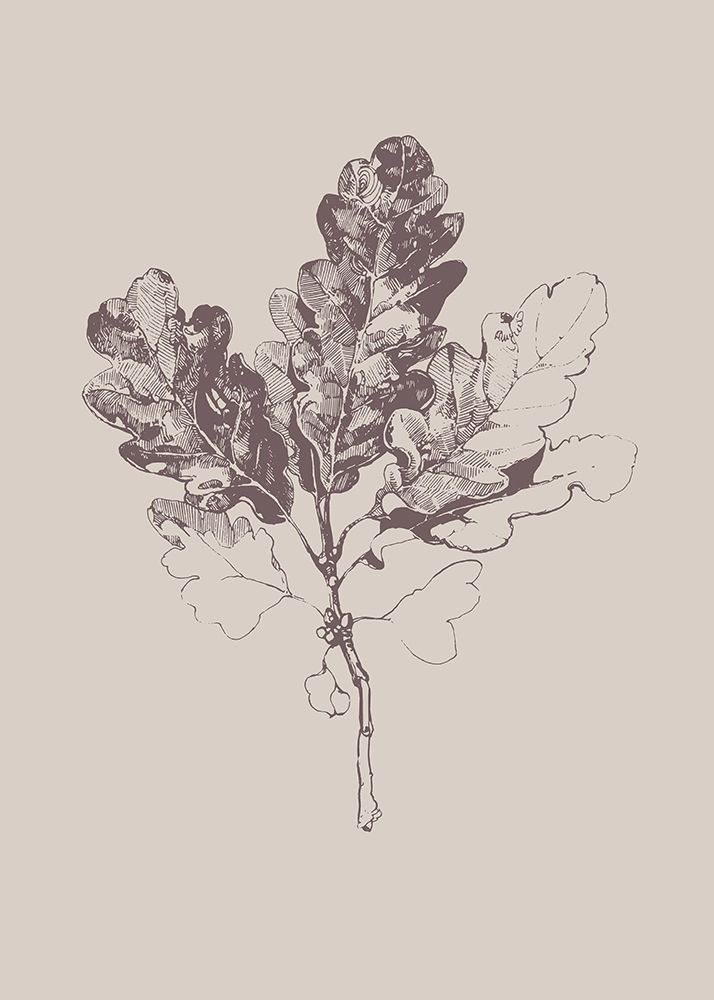 Wall Art Painting id:260685, Name: Botanica 3, Artist: Design Fabrikken