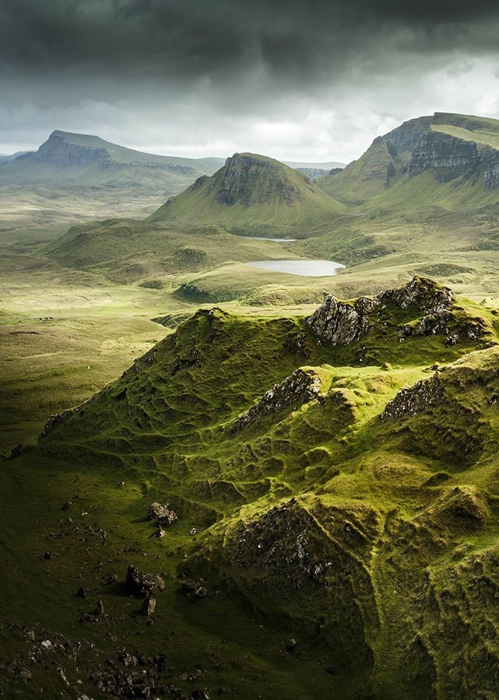 Wall Art Painting id:260667, Name: Bishop 7, Artist: Design Fabrikken