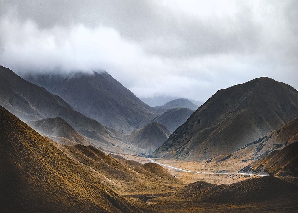 Wall Art Painting id:260669, Name: Bishop 9, Artist: Design Fabrikken