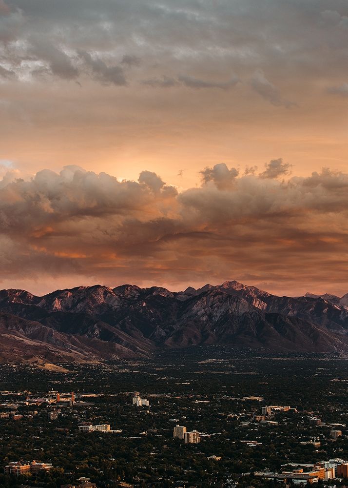 Wall Art Painting id:260652, Name: Bishop 10, Artist: Design Fabrikken