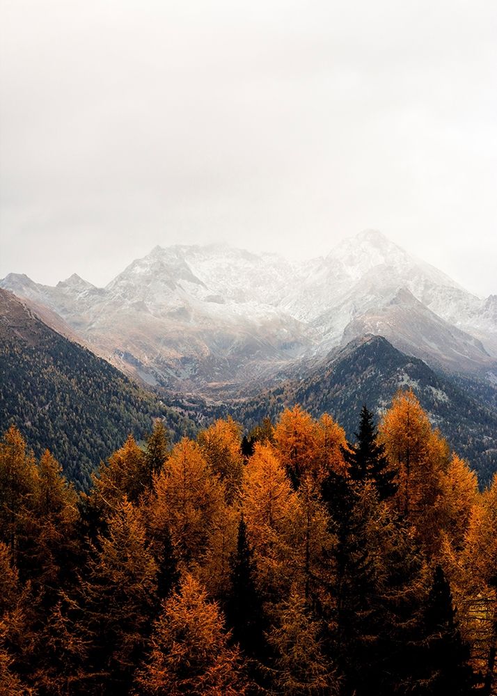 Wall Art Painting id:260659, Name: Bishop 17, Artist: Design Fabrikken