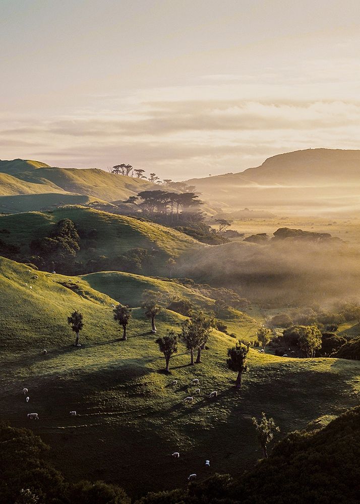 Wall Art Painting id:260660, Name: Bishop 18, Artist: Design Fabrikken