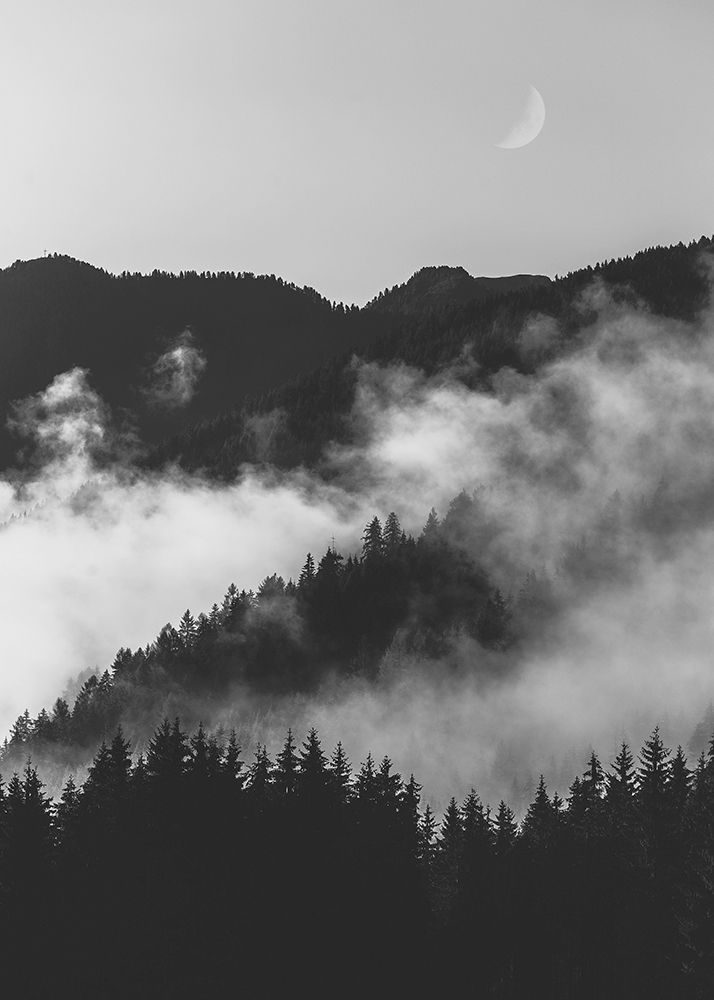 Wall Art Painting id:260661, Name: Bishop 19, Artist: Design Fabrikken