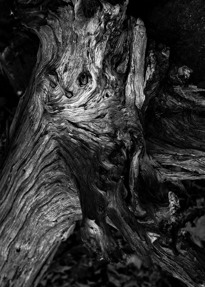 Similar wall art painting: 260678