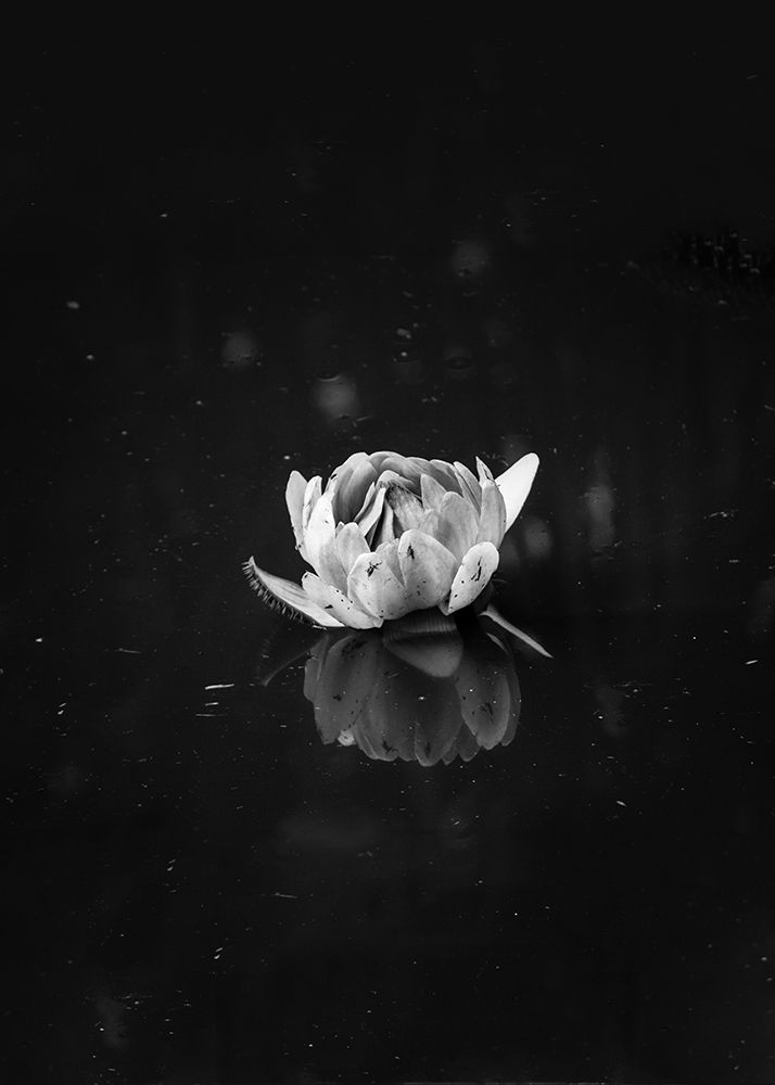 Wall Art Painting id:260730, Name: Floating 2, Artist: Design Fabrikken