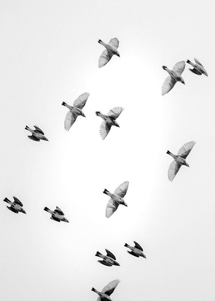 Similar wall art painting: 260776