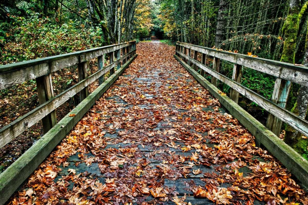 Art Print: Galloping Goose