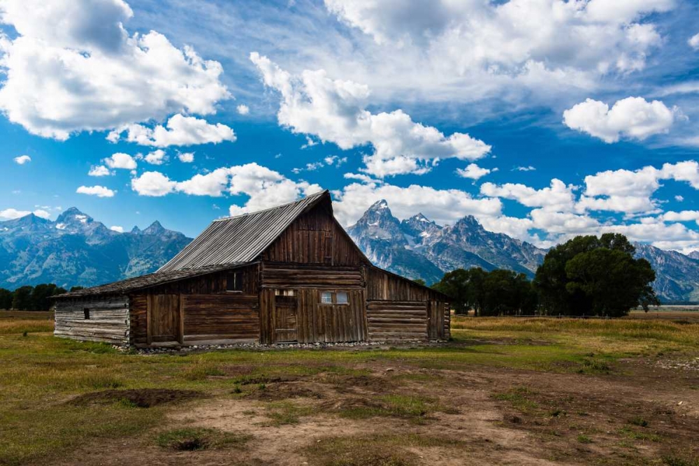 Art Print: Grand Teton Barn I