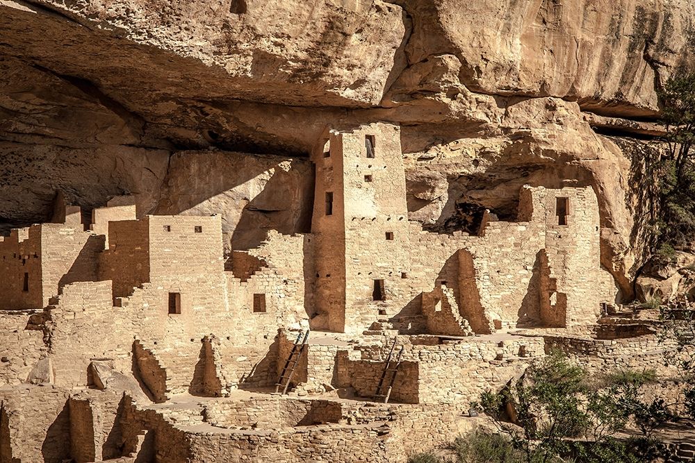 Art Print: Mesa Verde
