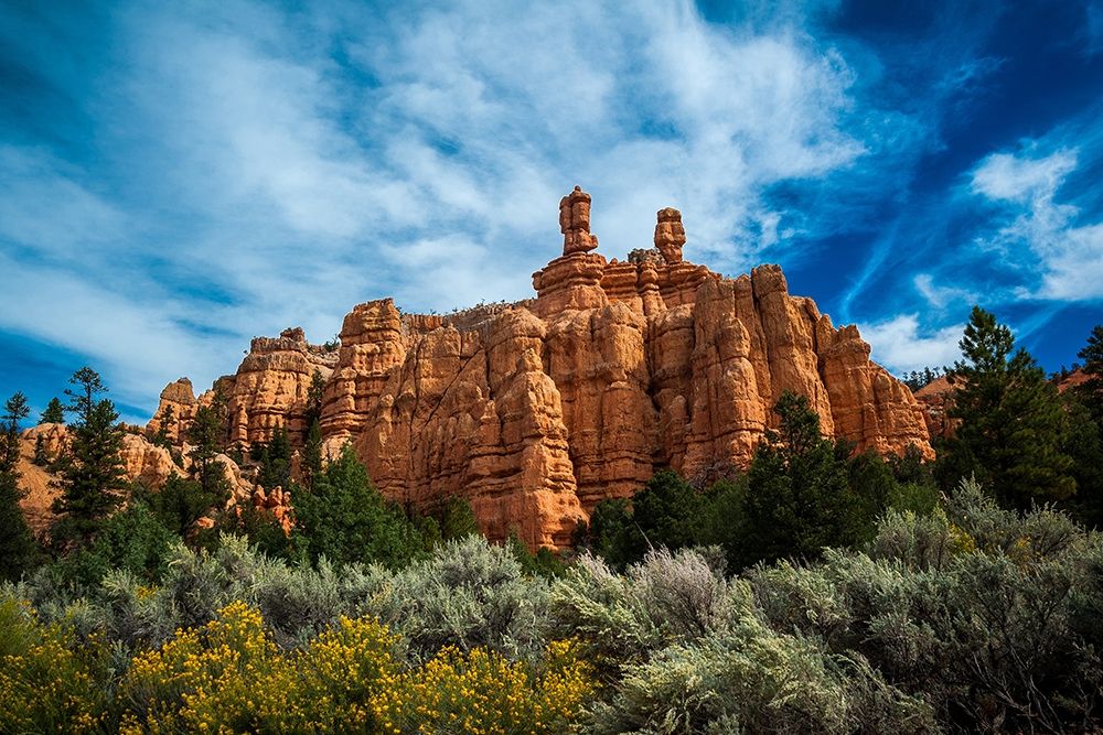 Art Print: Red Canyon