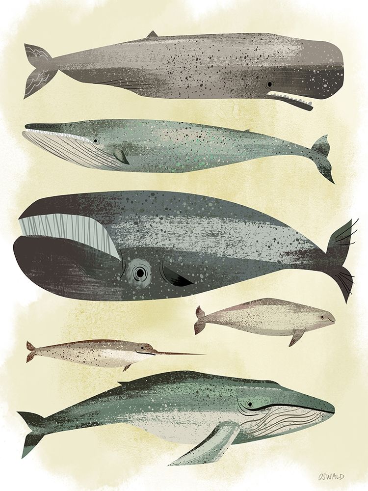 Art Print: Whales