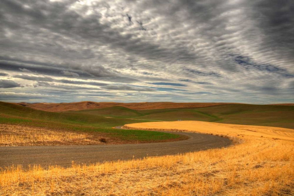 Similar wall art painting: 66215