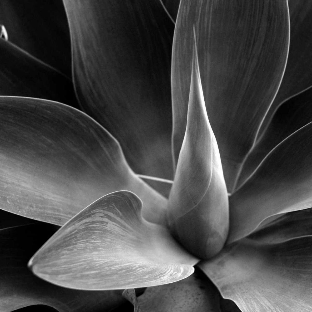 Similar wall art painting: 65807