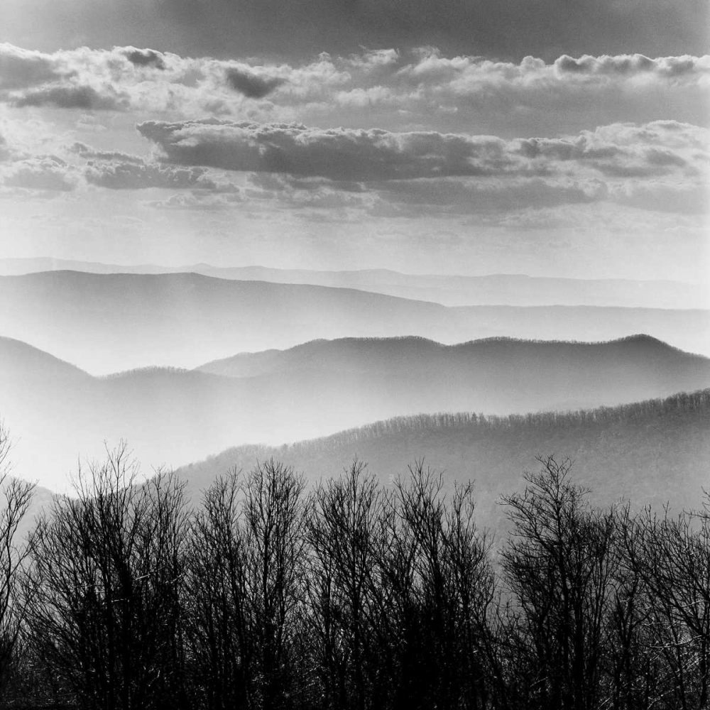 Art Print: Misty Mountains