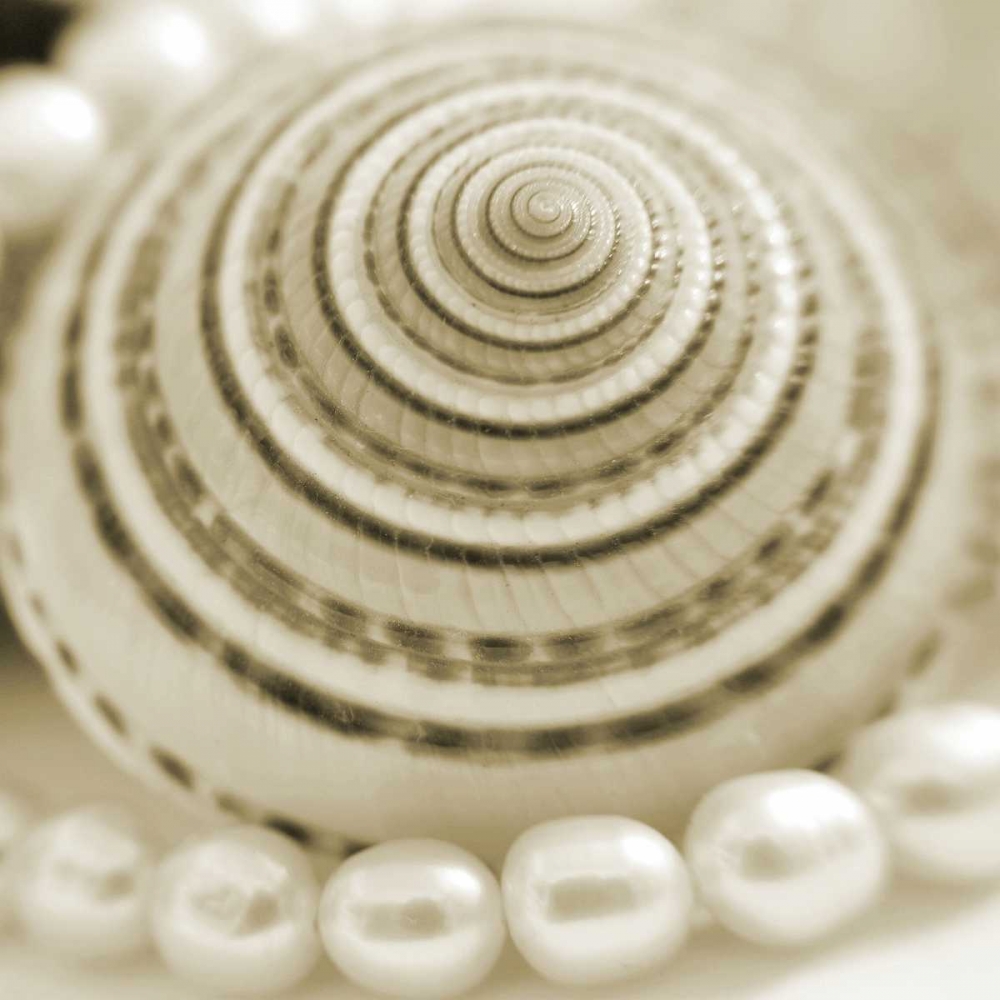 Art Print: Shells and Pearls 1