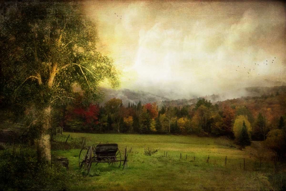 Art Print: Abandoned Wagon