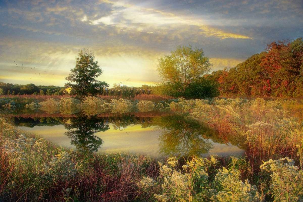 Art Print: Arrival of Dawn