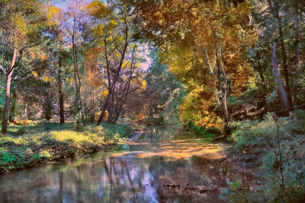 Art Print: Autumn in The Afternoon