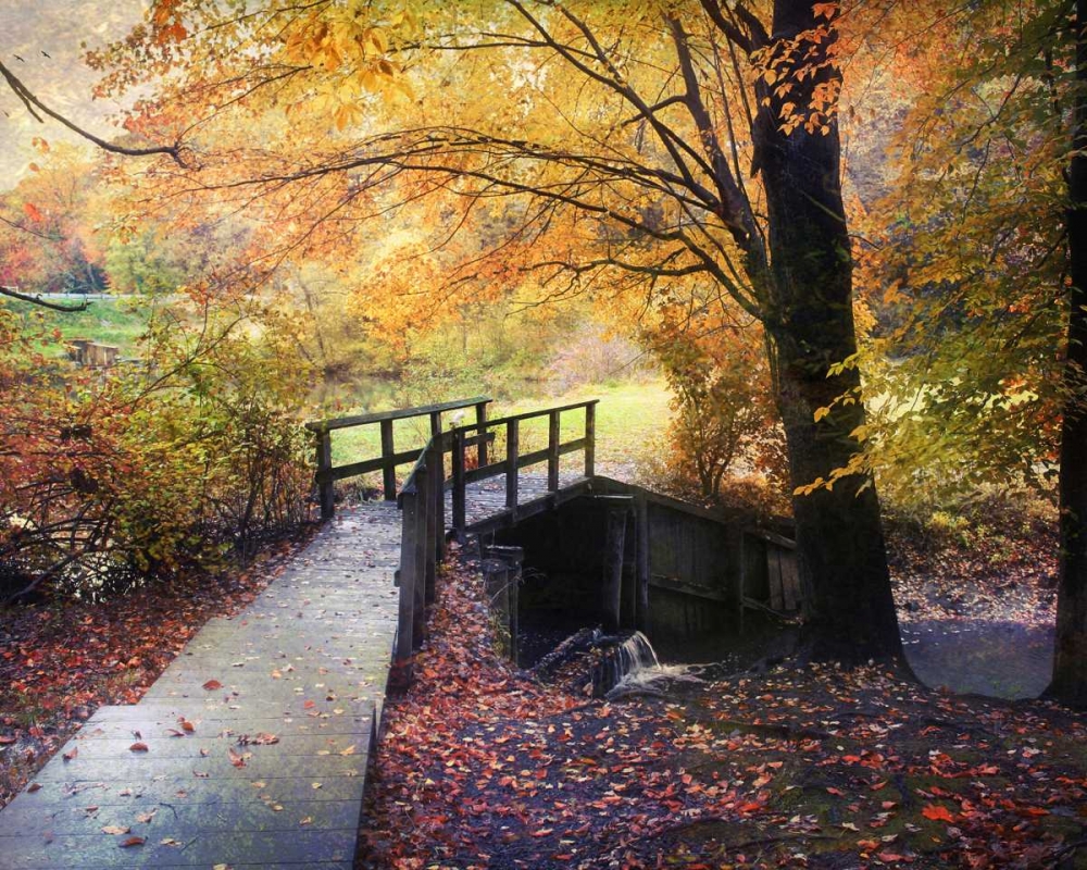 Art Print: Foot Bridge