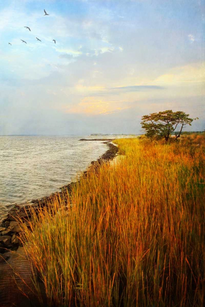 Art Print: Morning Has Broken