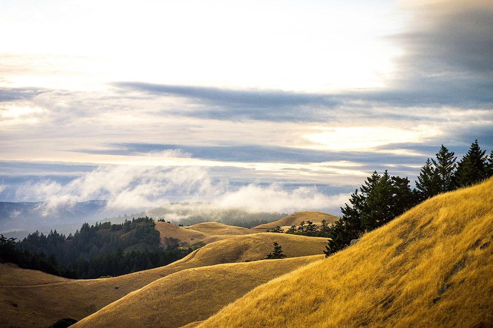 Art Print: By Mass Form and Time