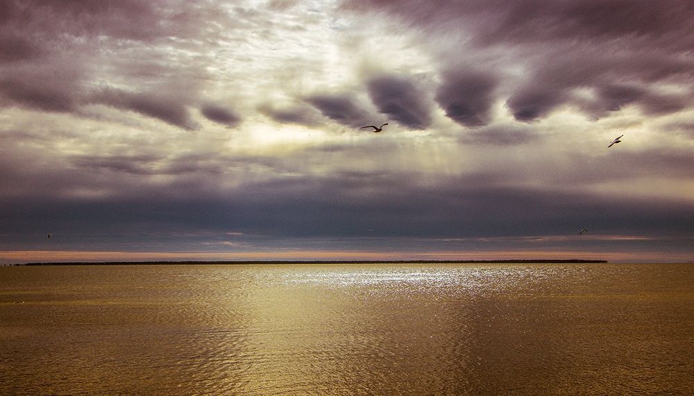 Wall art: To Face This Day, by Rogers, Eunika