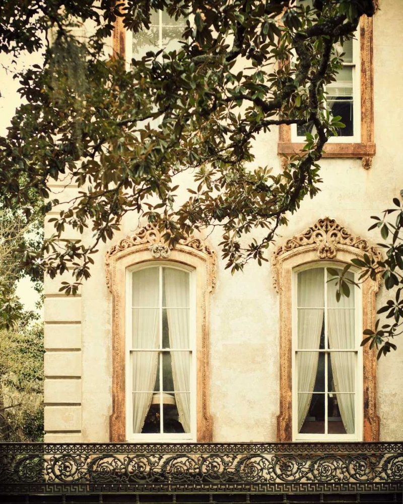 Art Print: Savannah Charm I