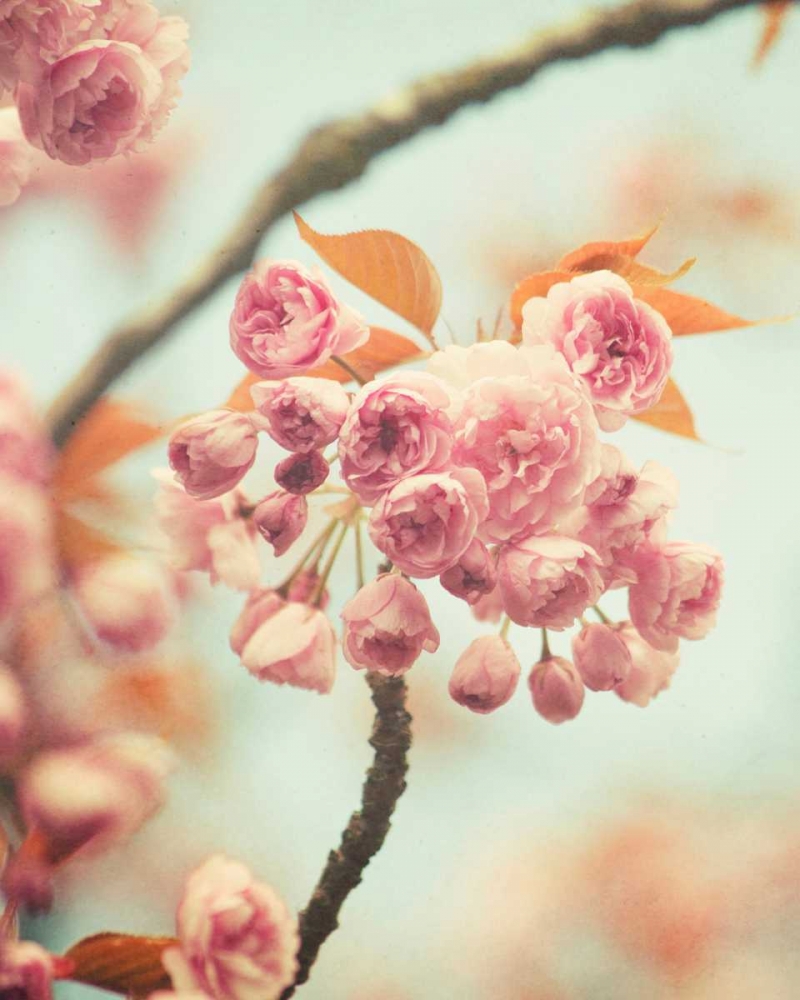 Art Print: Waiting For Spring