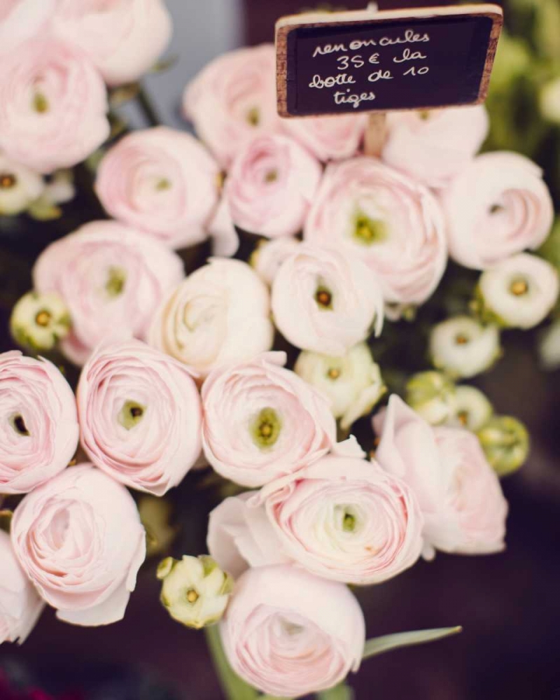 Art Print: Flower Market