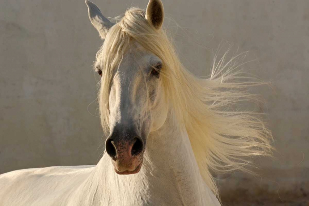 Similar wall art painting: 140267