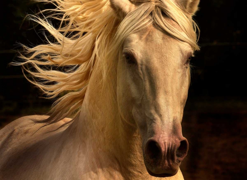 Similar wall art painting: 140269